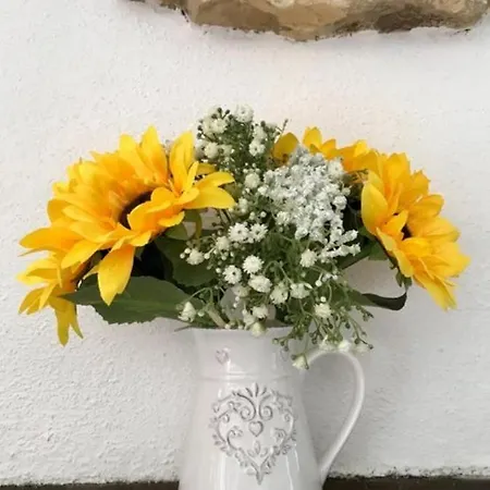 Tatil Evi Chez Claire *